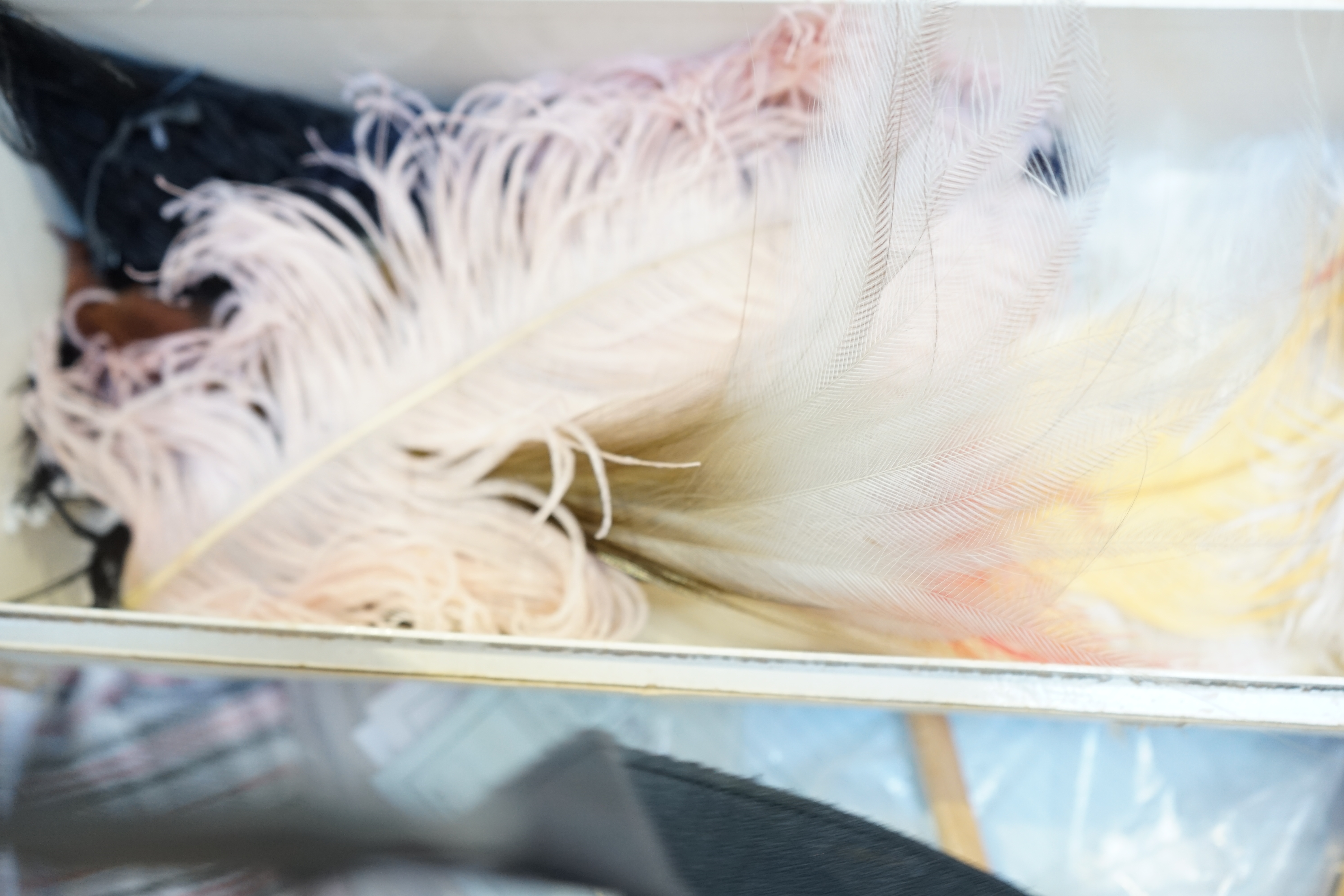 A selection of feathers, including head dress and veil for presentation at Court (in period box).